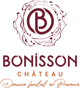 Bonisson   chateau  fond clair web v