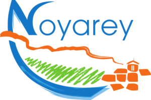 Logo noyaey hd