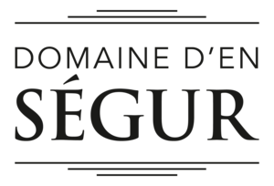Logo domaineensegur noir
